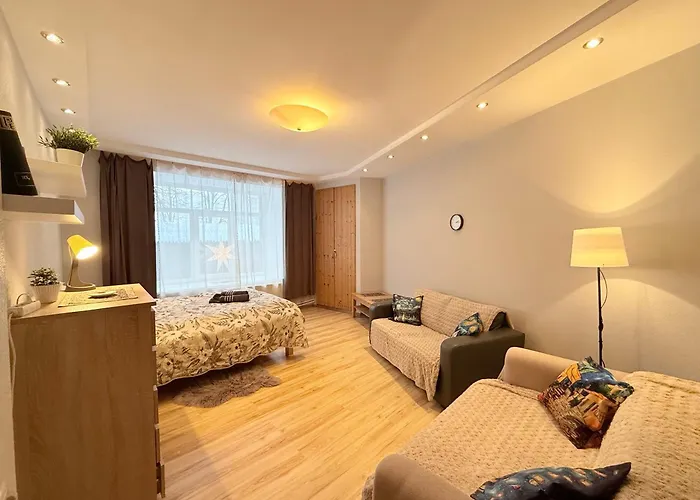 Fricis Dzīvoklis Riga