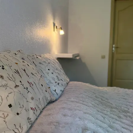 Fricis Lägenhet Riga